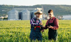 When Should You Rent Agriculture Equipment?