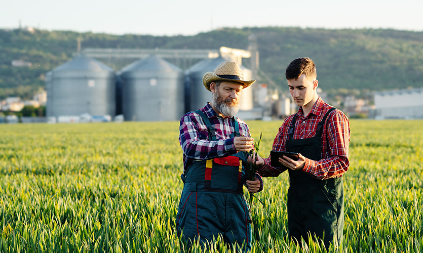 When Should You Rent Agriculture Equipment?